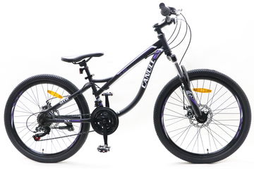 Canull XC 240 černá/fialová 24"