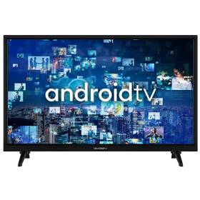 Televize GoGEN TVH 24A336 Televize GoGEN TVH 24A336
