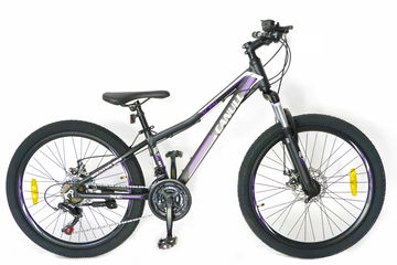 Horské kolo Canull XC 241 černá/fialová 24"